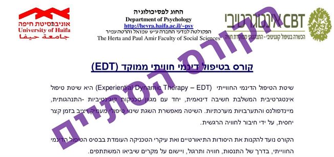 טיפול דינמי חוויתי ממוקד